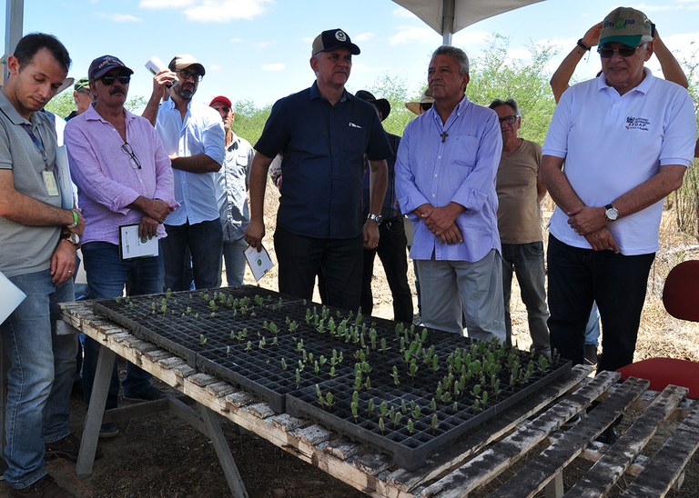07_11_19 Governo realiza Dia de Campo com raquetes de palma forrageira (3).JPG