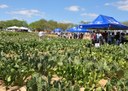 07_11_19 Governo realiza Dia de Campo com raquetes de palma forrageira (4).JPG
