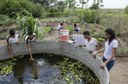 see-horta-escolar-aumenta-o-aprendizado-e-enriquece-a-alimentacao-dos-alunos-foto-Diego-Nobrega-2.jpg