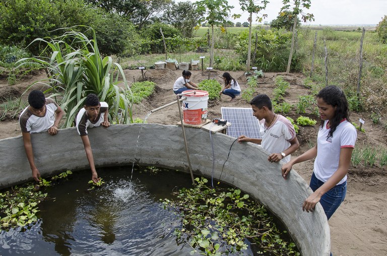 see-horta-escolar-aumenta-o-aprendizado-e-enriquece-a-alimentacao-dos-alunos-foto-Diego-Nobrega-2.jpg