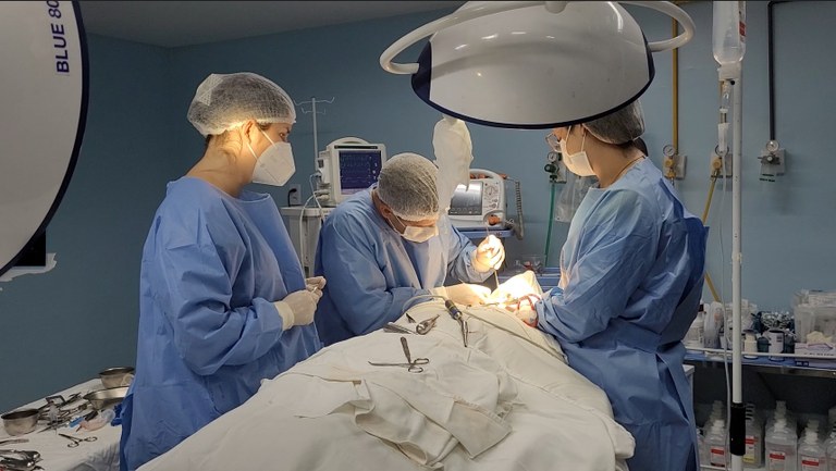 cirurgia odontologica PNE.jpg cirurgia odontologica PNE.jpg