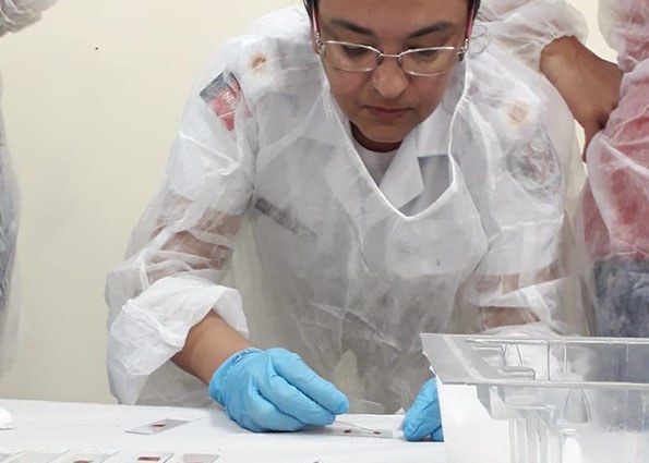 24_04_19 Hospital Edson Ramalho participa de treinamento no Diagnóstico Laboratorial da Malária   (3).jpg