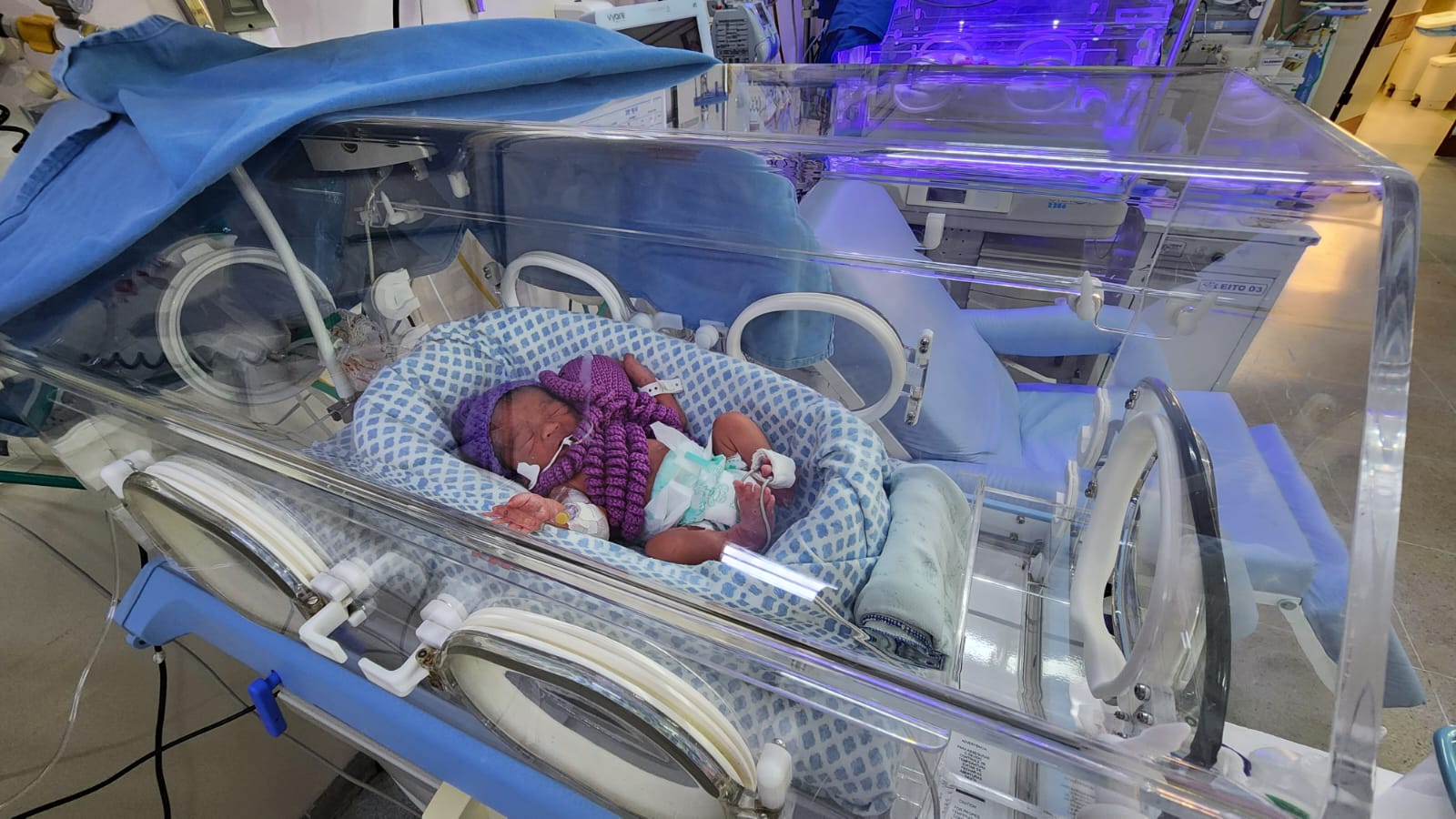 Utin_Novembro roxo (1).jpg