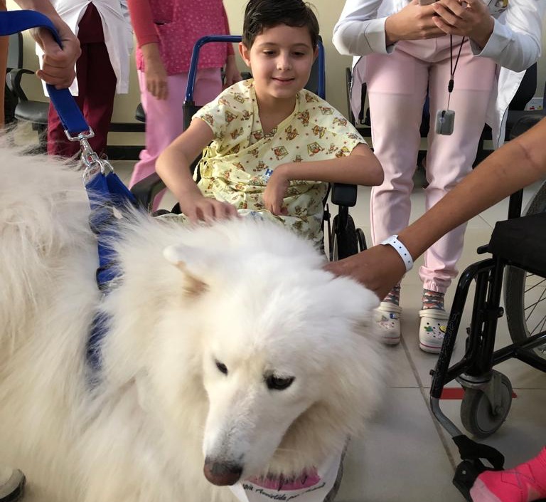 Terapet hospital metropolitano_1-2.jpeg