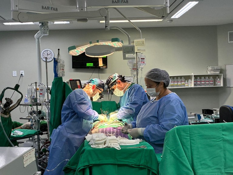 7º transplante HM (4).jpeg