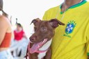 Causa Animal_evento (1).jpeg