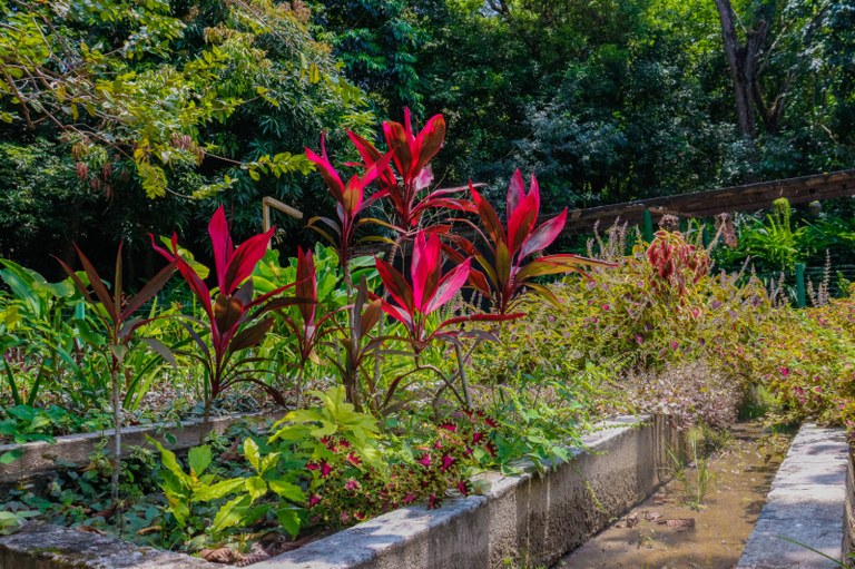 JARDIM-FOTÂNICO_BEATRIZ AVELINO (2).jpeg