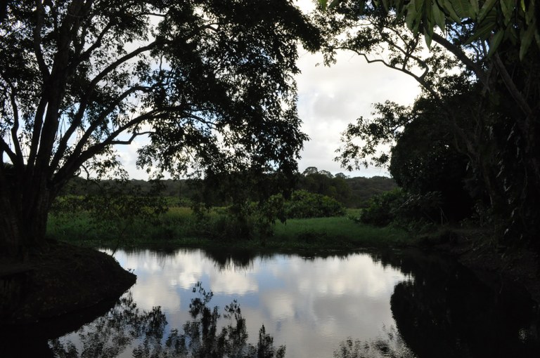 DSC_6212.jpg