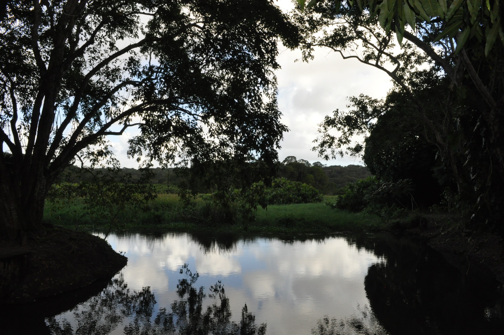 DSC_6212.jpg