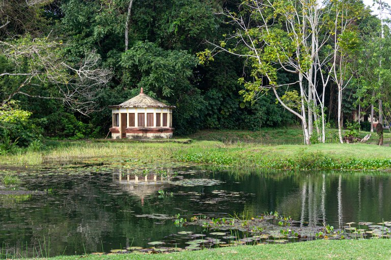 JARDIM-BOTANICO_2024ago14_001_FERNANDA-EGGERS.jpg