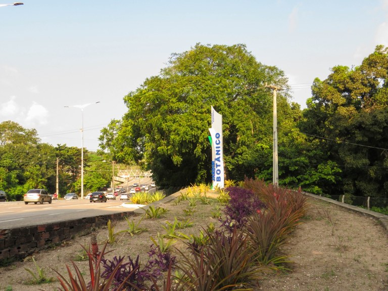 Jardim Botanico - Beatriz Avelino (15) (1).jpg