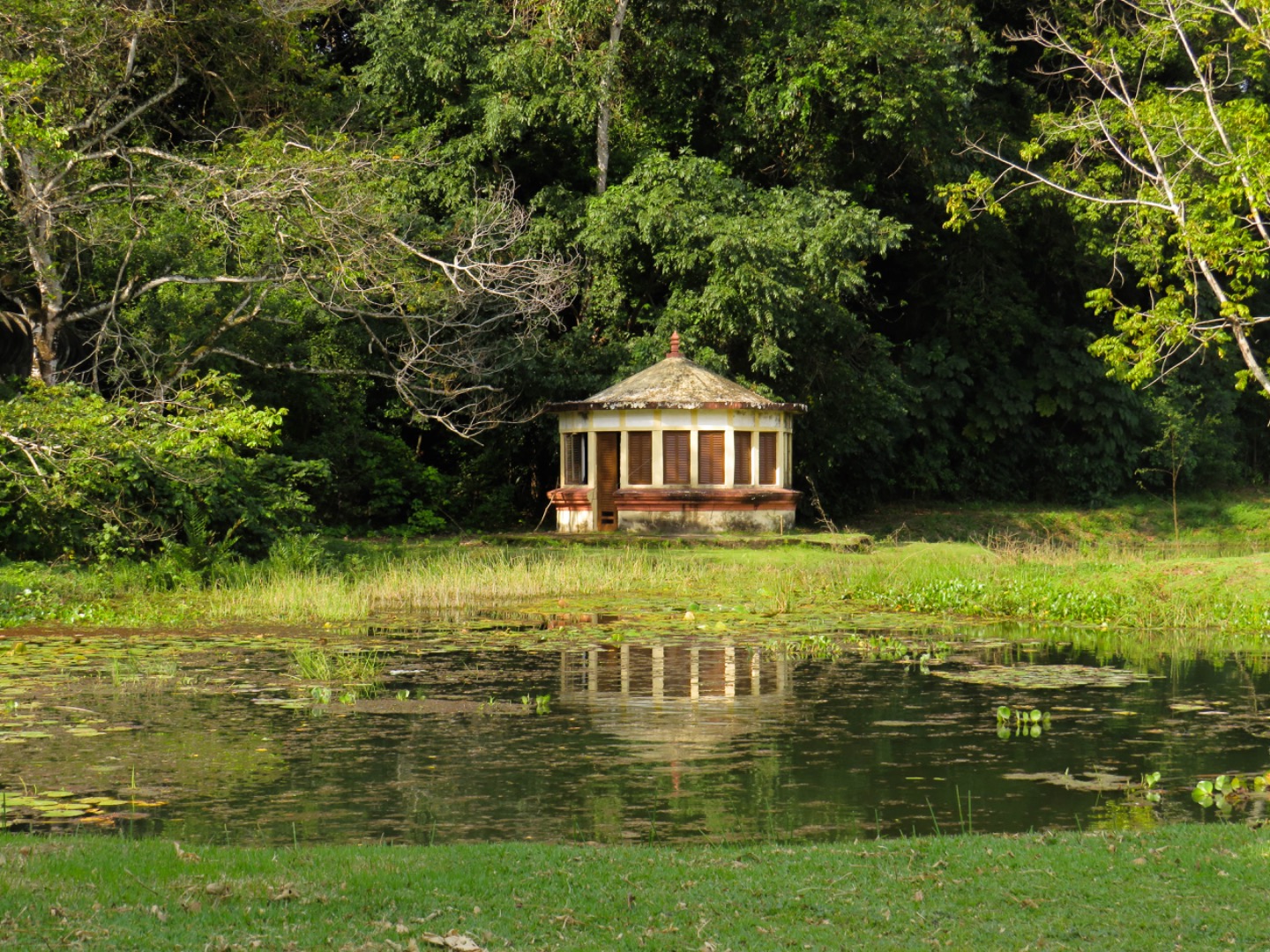 Jardim Botanico - Beatriz Avelino (20) (6).jpg