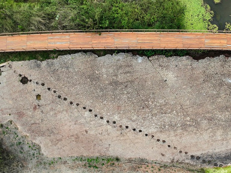 Pegadas Vale dos Dinossauros (2).jpg