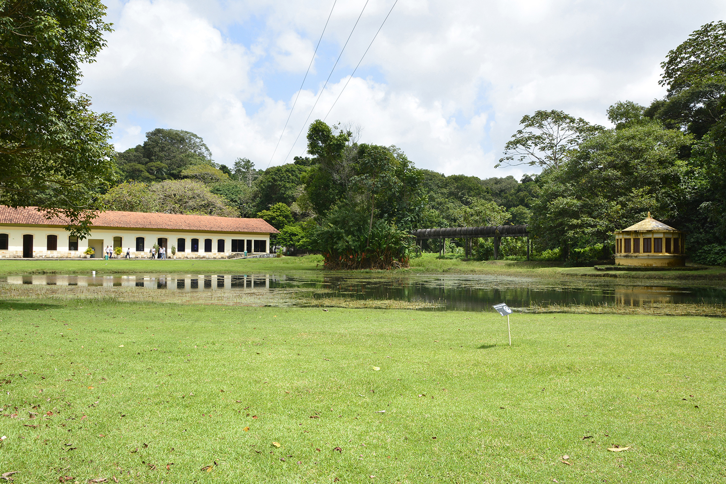 APA mata do buraquinho © roberto guedes (53).JPG
