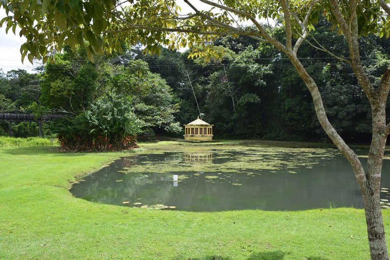 APA mata do buraquinho © roberto guedes (52).JPG APA mata do buraquinho © roberto guedes (52).JPG