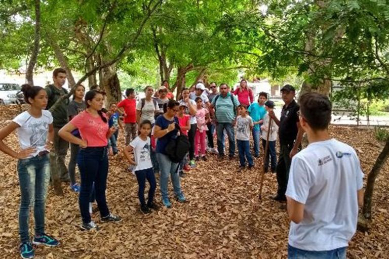 jardim botanico retoma atividades com programacao de ferias 2.jpg jardim botanico retoma atividades com programacao de ferias 2.jpg