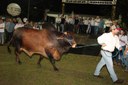 Abertura da Expofeira Paraiba Agronegocio foto francisco frança (17).JPG