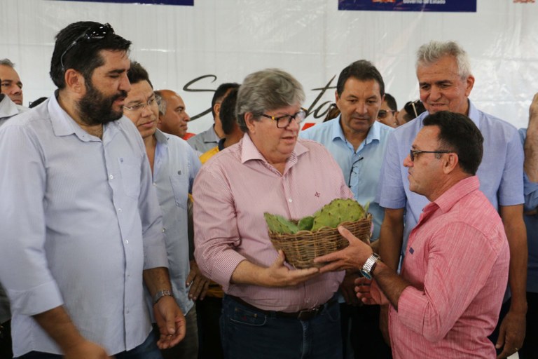 joao-nova floresta-foto Francisco França1.JPG