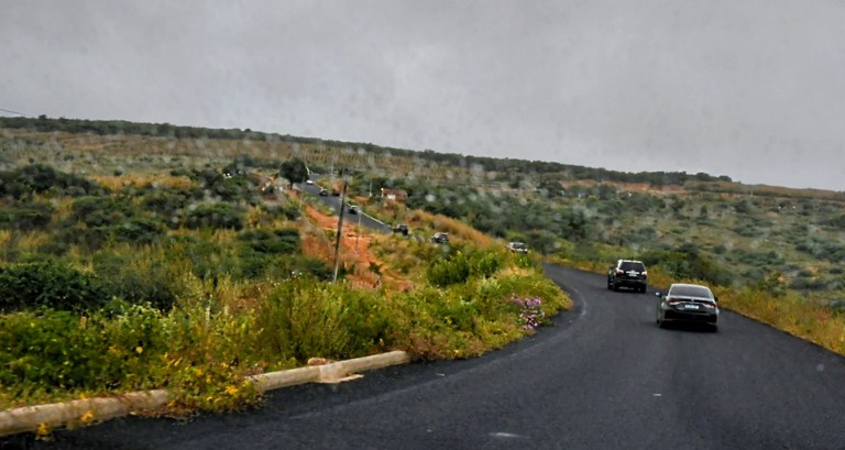 DSC_5938~2.JPG
