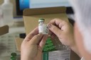 laboratório-traumaJP-3.jpg