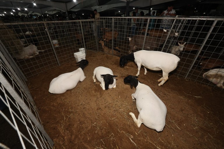 WhatsApp Image 2026-04-25 at 21.03.01-2.jpeg