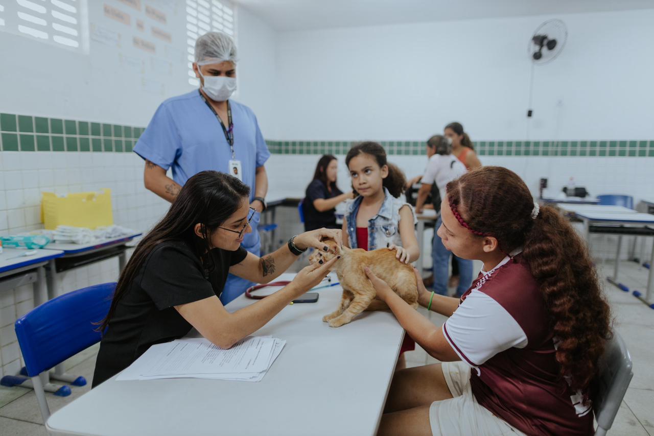 WhatsApp Image 2026-02-28 at 19.04.07-4.jpeg