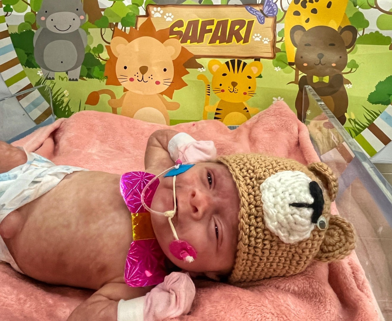 frei damião portal.JPG