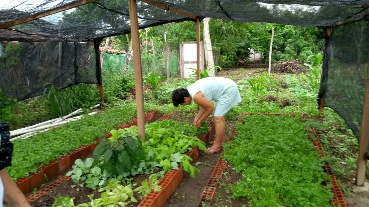 2-05-03-2018.jpg