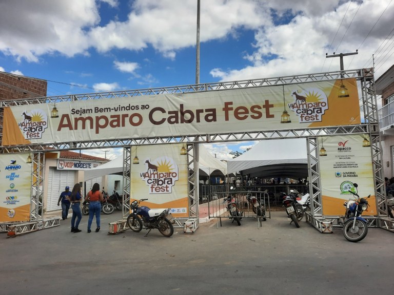 VII Amparo Cabra Fest.jpg