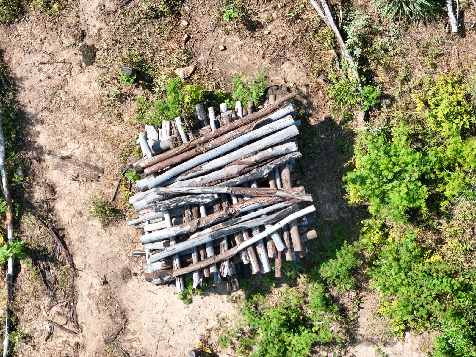 WhatsApp Image 2026-03-11 at 15.32.57 (1).jpeg