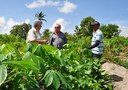 Emater-orienta-e-recursos-de-Brasil-Sem-Miseria-transformam-vida-de-familia-em-Capim-2.jpg