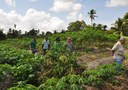 Emater-orienta-e-recursos-de-Brasil-Sem-Miseria-transformam-vida-de-familia-em-Capim-3.jpg