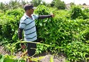 Emater-orienta-e-recursos-de-Brasil-Sem-Miseria-transformam-vida-de-familia-em-Capim-5.jpg