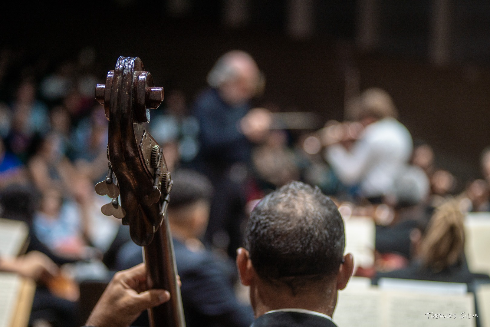 2º concerto_ospb_25.04.24_thercles silva (24).jpg