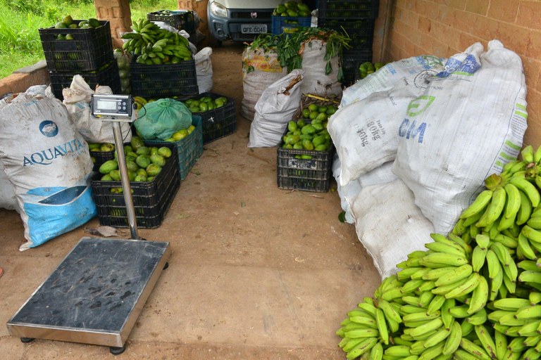 2026-04-07 às 16.35.28foto-manodecarvalho 15.jpeg