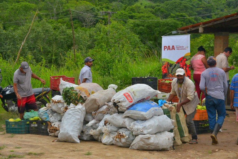 2026-04-07 às 16.35.28foto-manodecarvalho 23.jpeg