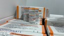 pfizer laranja.jpeg