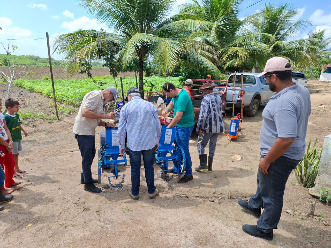 plantio algodão 2.jpg