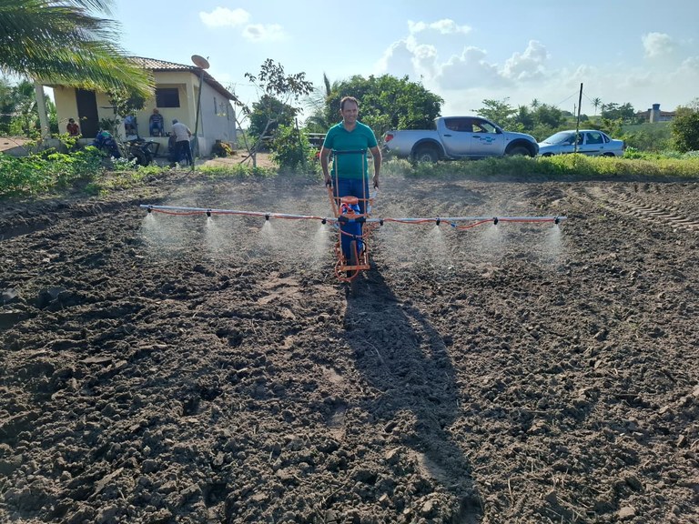 plantio algodão 3.jpg