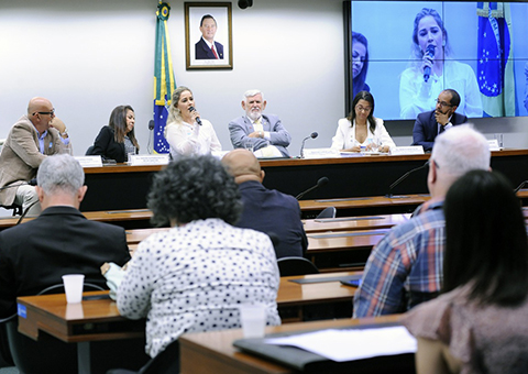 sedh-Audiencia-Publica-em-brasilia-sobre-o-Trafico-e-Desaparecimento-de-Pessoas-1.jpeg