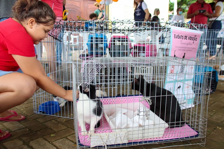Feira_PB PET (1).jpeg