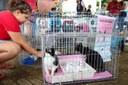 Feira_PB PET (1).jpeg