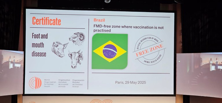 Brasil - Área Livre da Aftosa Sem Vacinação.jpeg