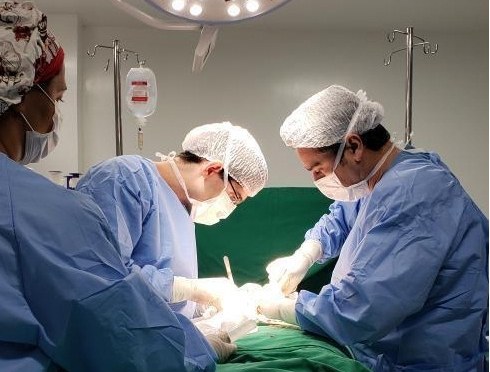 Transplante3.jpg