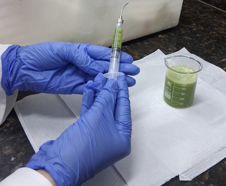 Bebida de palma para admisnitração aos ratos Wistar.jpeg