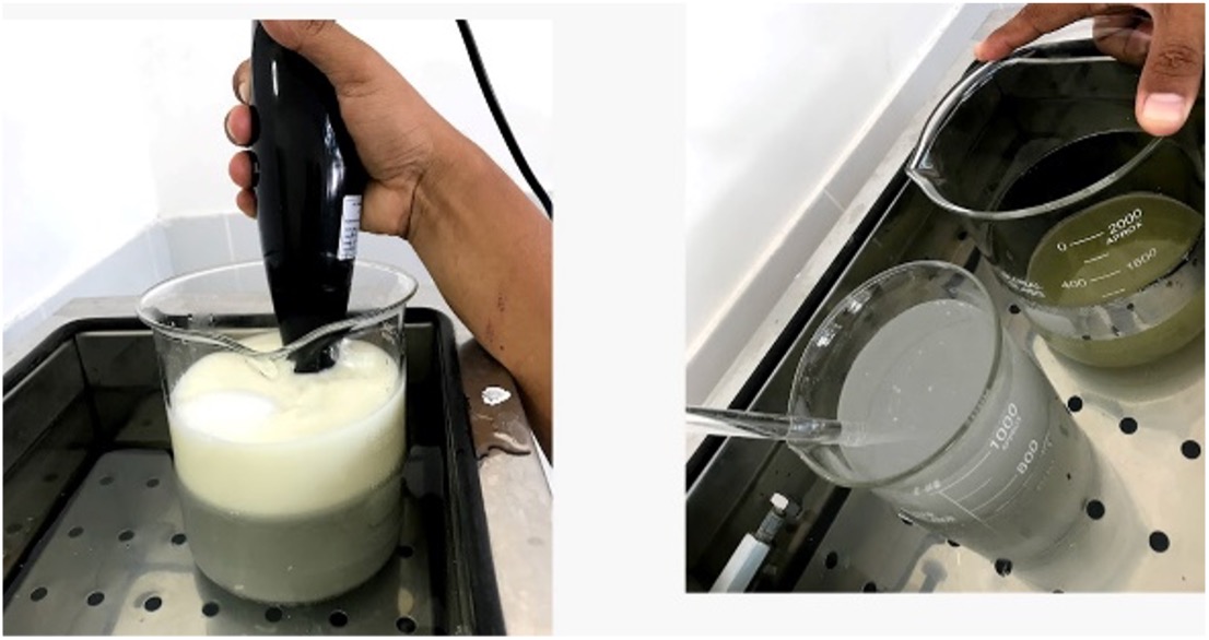 Foto metodologia encapuslamento.jpg