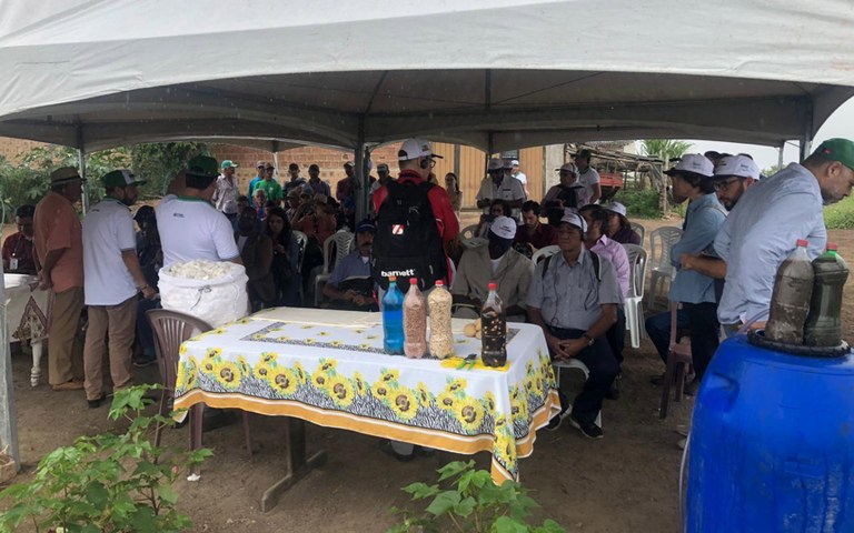 empaer trabalhos com algodao e melhoramento genetico bovino impressionam missao mocambique e colombia (3).jpg empaer trabalhos com algodao e melhoramento genetico bovino impressionam missao mocambique e colombia (3).jpg