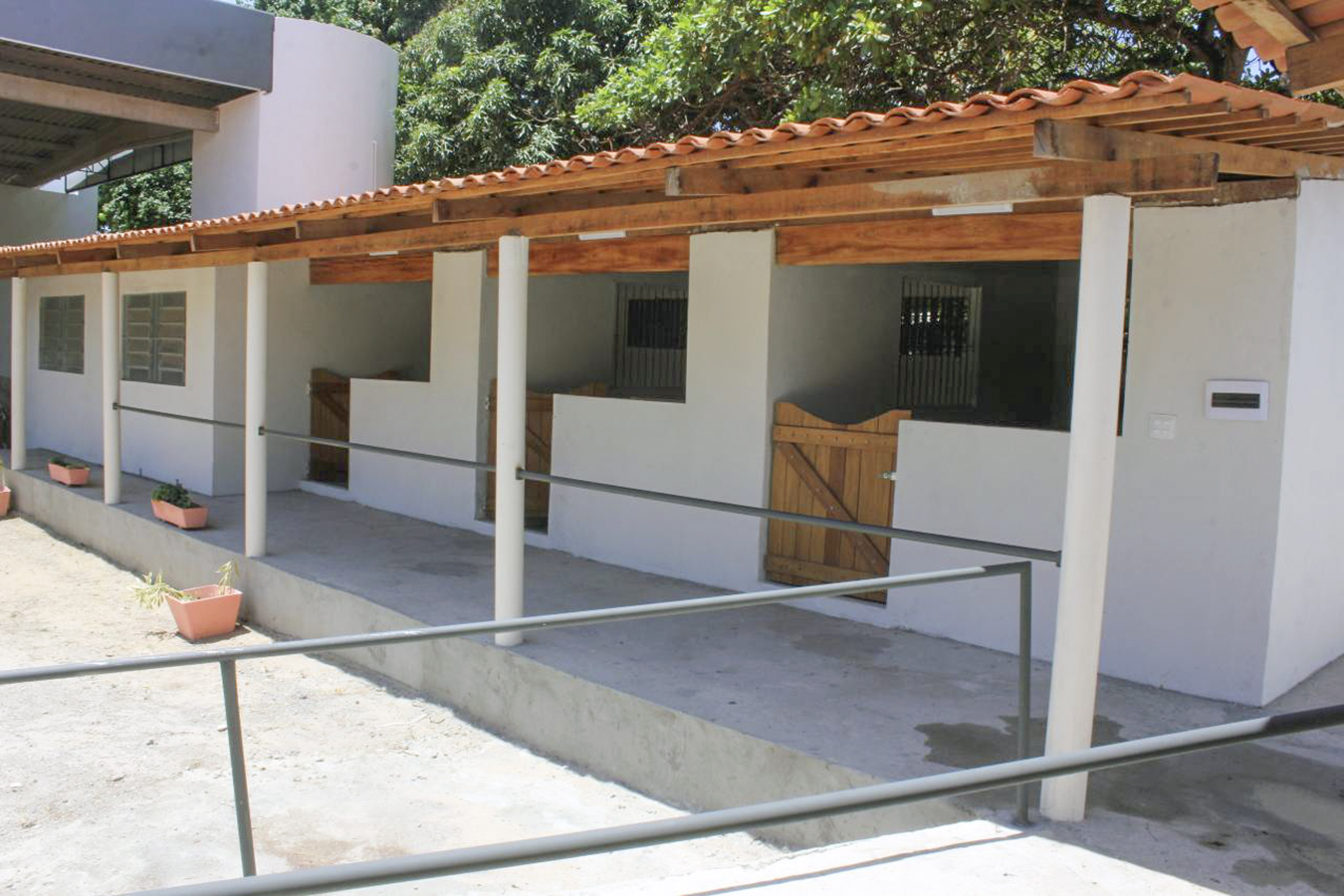 primeira dama visita associaçao de equoterapia_foto alberi pontes (8).jpg