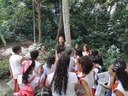 FESTA-ANUAL-DAS-ARVORES-DIA-1-ASCOM-SUDEMA-_10_.jpg