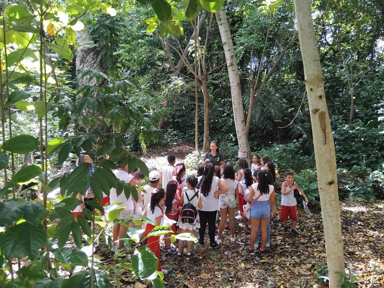 FESTA-ANUAL-DAS-ARVORES-DIA-1-ASCOM-SUDEMA-_11_.jpg
